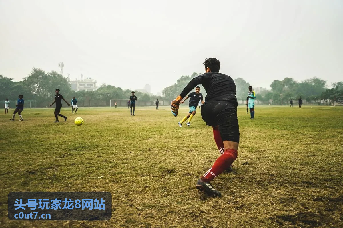 新版本体验计划活动 - 头号玩家龙8